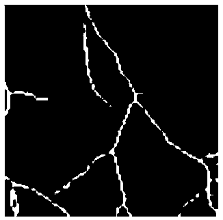 Feature registration method based on branch points