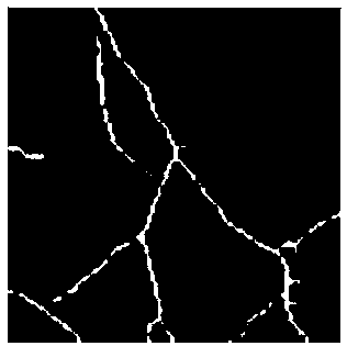 Feature registration method based on branch points