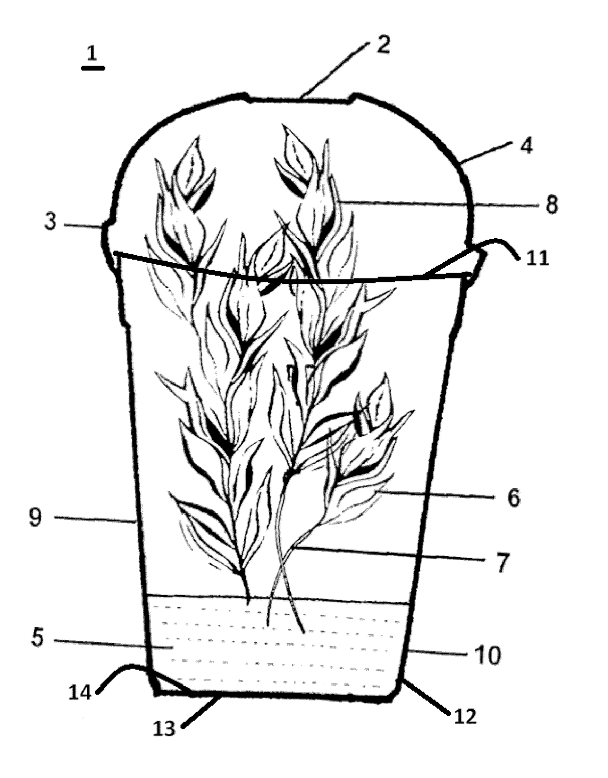 System to package and transport fresh cut produce