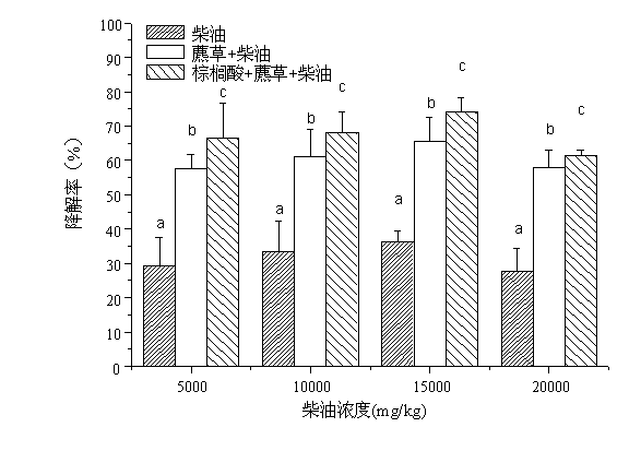 Method for repairing oil polluted wetland soil environment with cetylic acid intensified scirpi