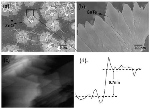 A controllable preparation method for self-assembled nanoflowers of p-type layered GaTe nanosheets