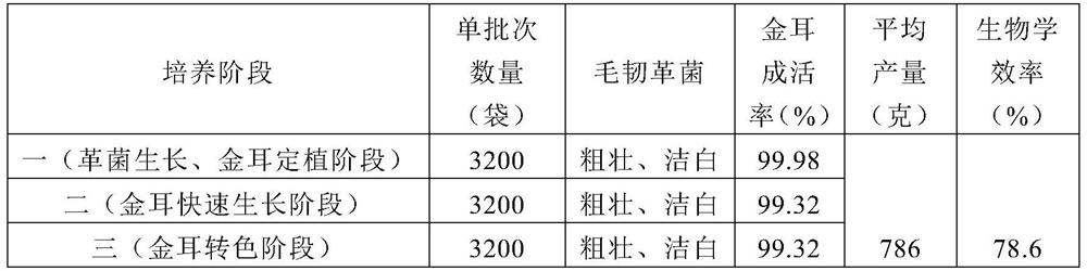 Industrial three-stage cultivation method for tremella aurantialba