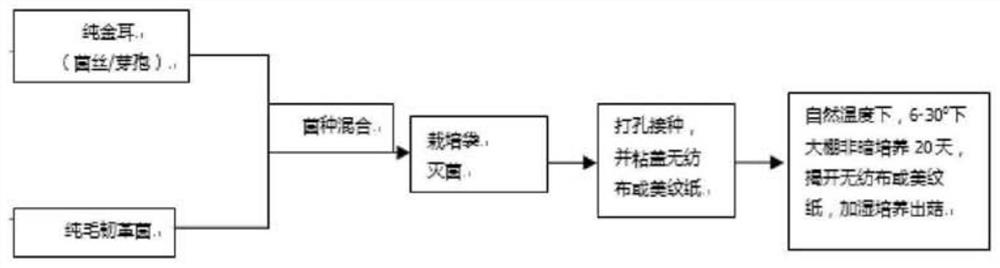 Industrial three-stage cultivation method for tremella aurantialba