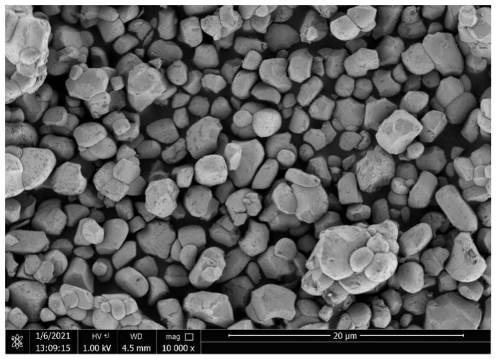 Cobalt-free nickel-manganese positive electrode material and preparation method and application thereof