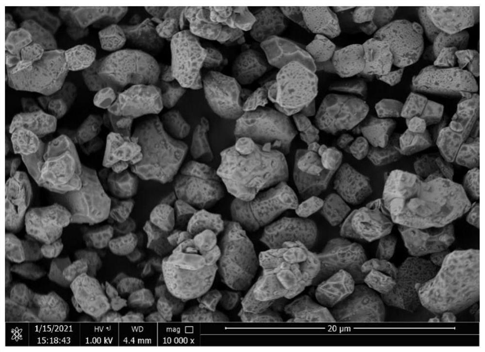 Cobalt-free nickel-manganese positive electrode material and preparation method and application thereof