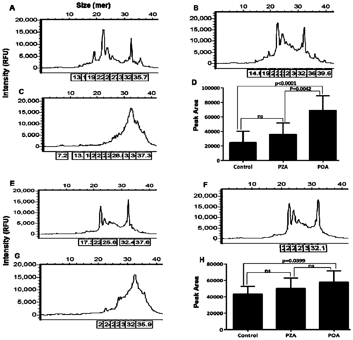 A dna marker for detecting drug resistance of mycobacterium tuberculosis and its application