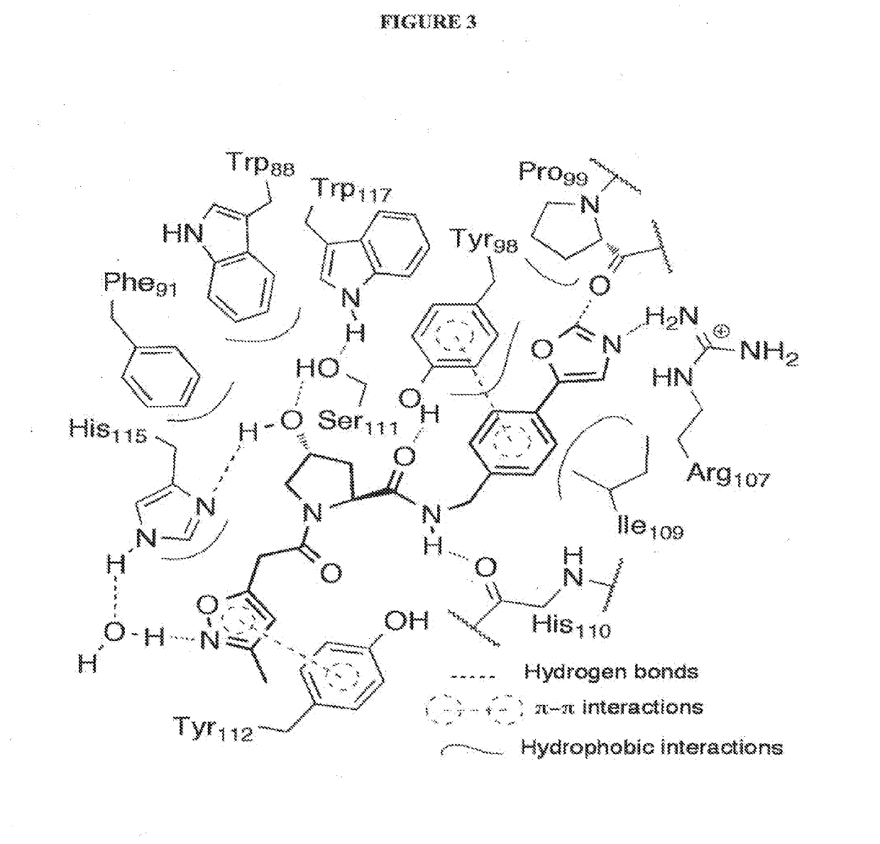 Compounds & Methods for the Enhanced Degradation of Targeted Proteins & Other Polypeptides by an E3 Ubiquitin Ligase