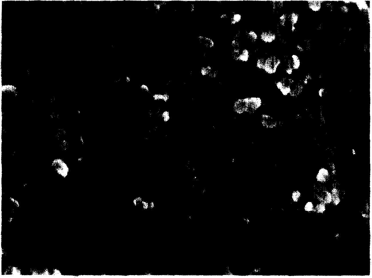 Nanometer oxide porous membrane electrode and preparing method and application thereof