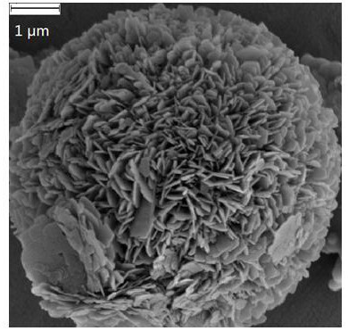 A chitosan hybrid bismuth oxybromide micro-nano multi-level material and its preparation and application