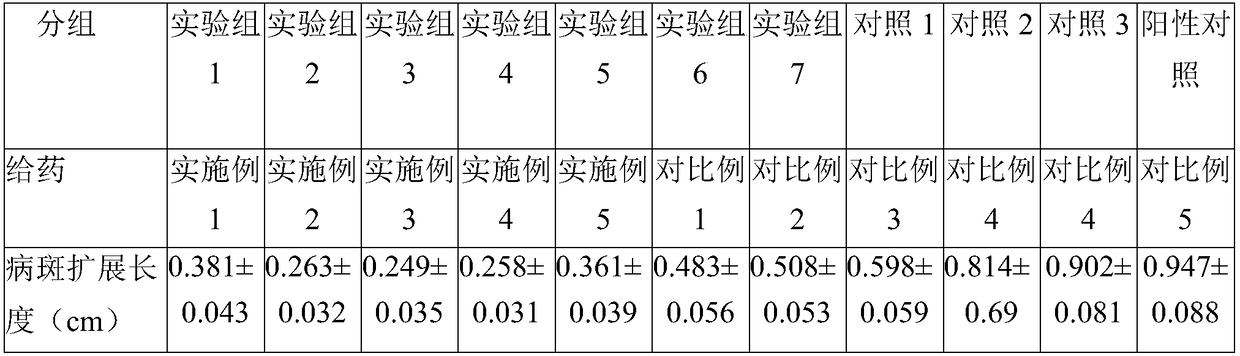 Compound plant bactericide for preventing rice bacterial leaf blight