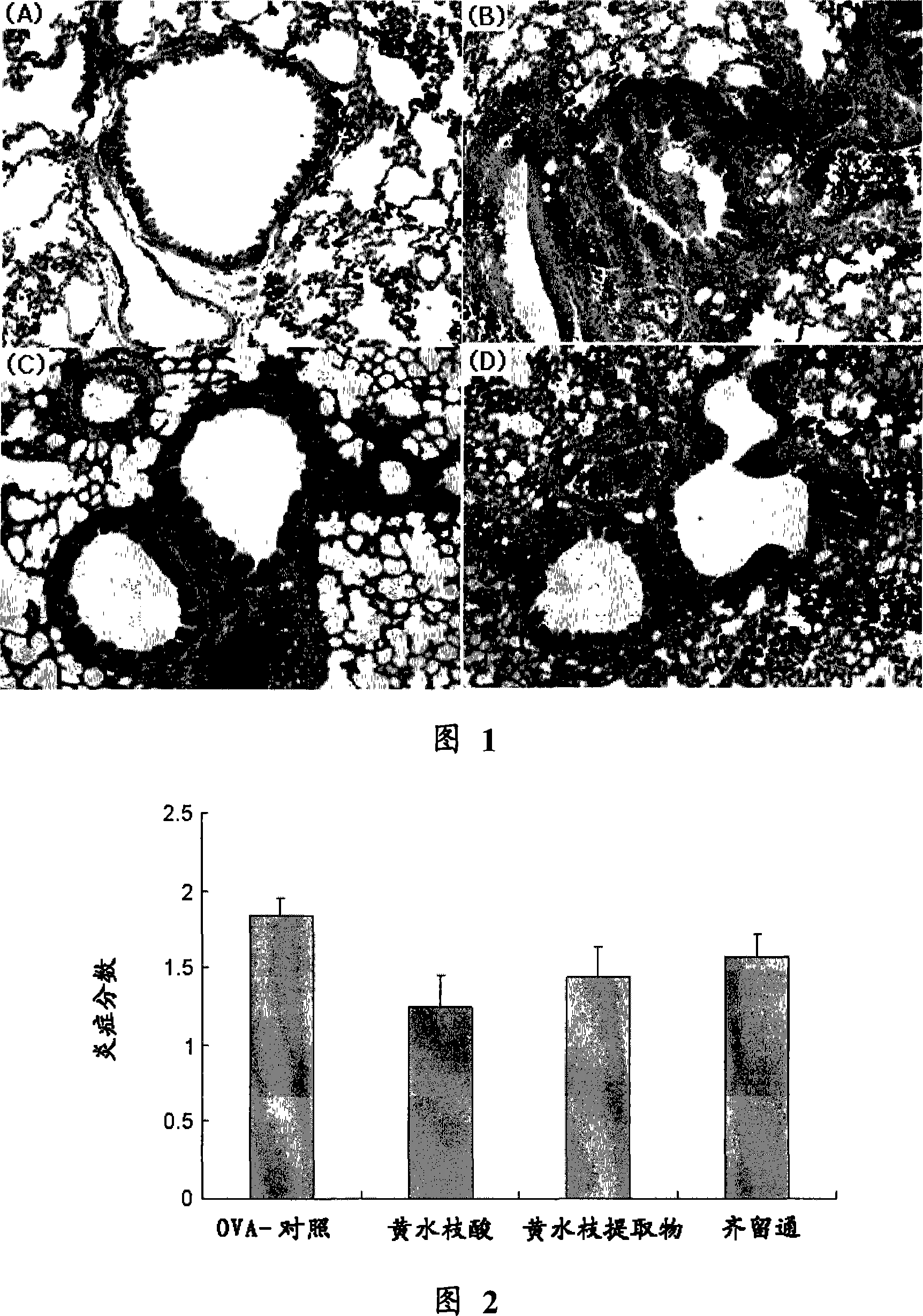 A composition comprising an extract of tiarell polyphylla and tiarellic acid isolated therefrom having antiinflammatory, antiallergic and antiasthmatic activity