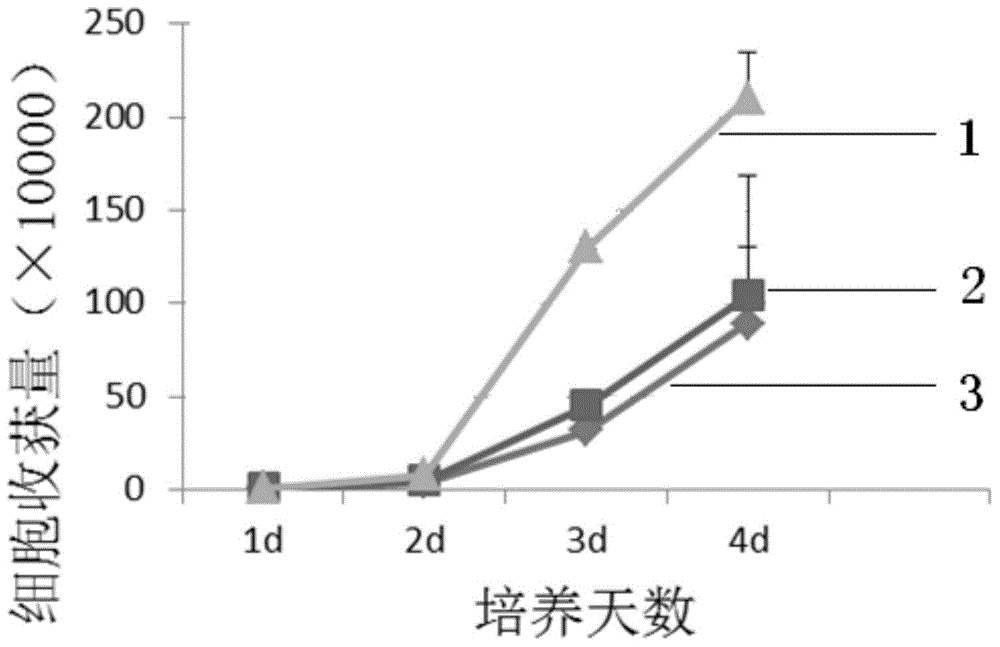 Primary isolated culture method for amniotic fluid mesenchymal stem cells