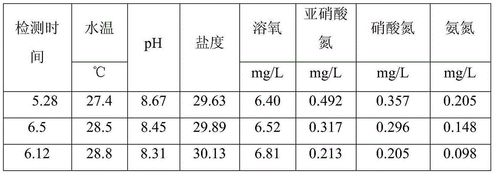 Seawater circulation culture system with sewage disposal facility