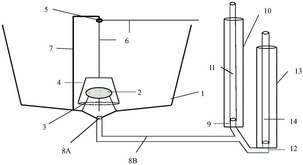 Seawater circulation culture system with sewage disposal facility