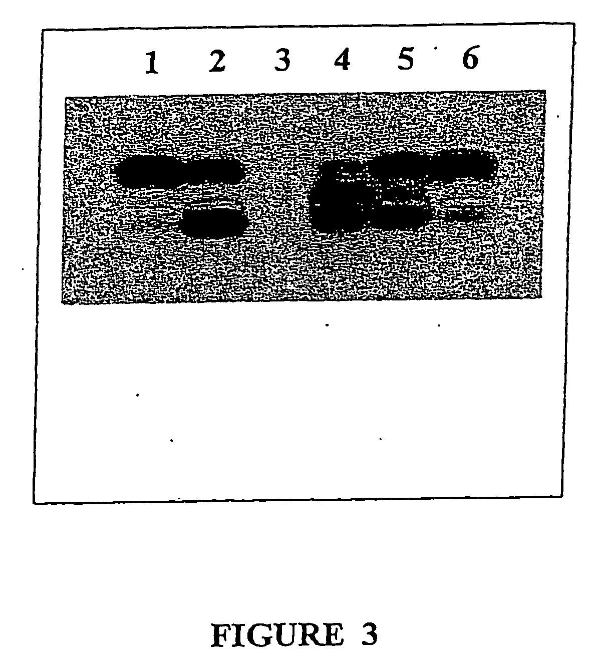 Therapeutic agents - II