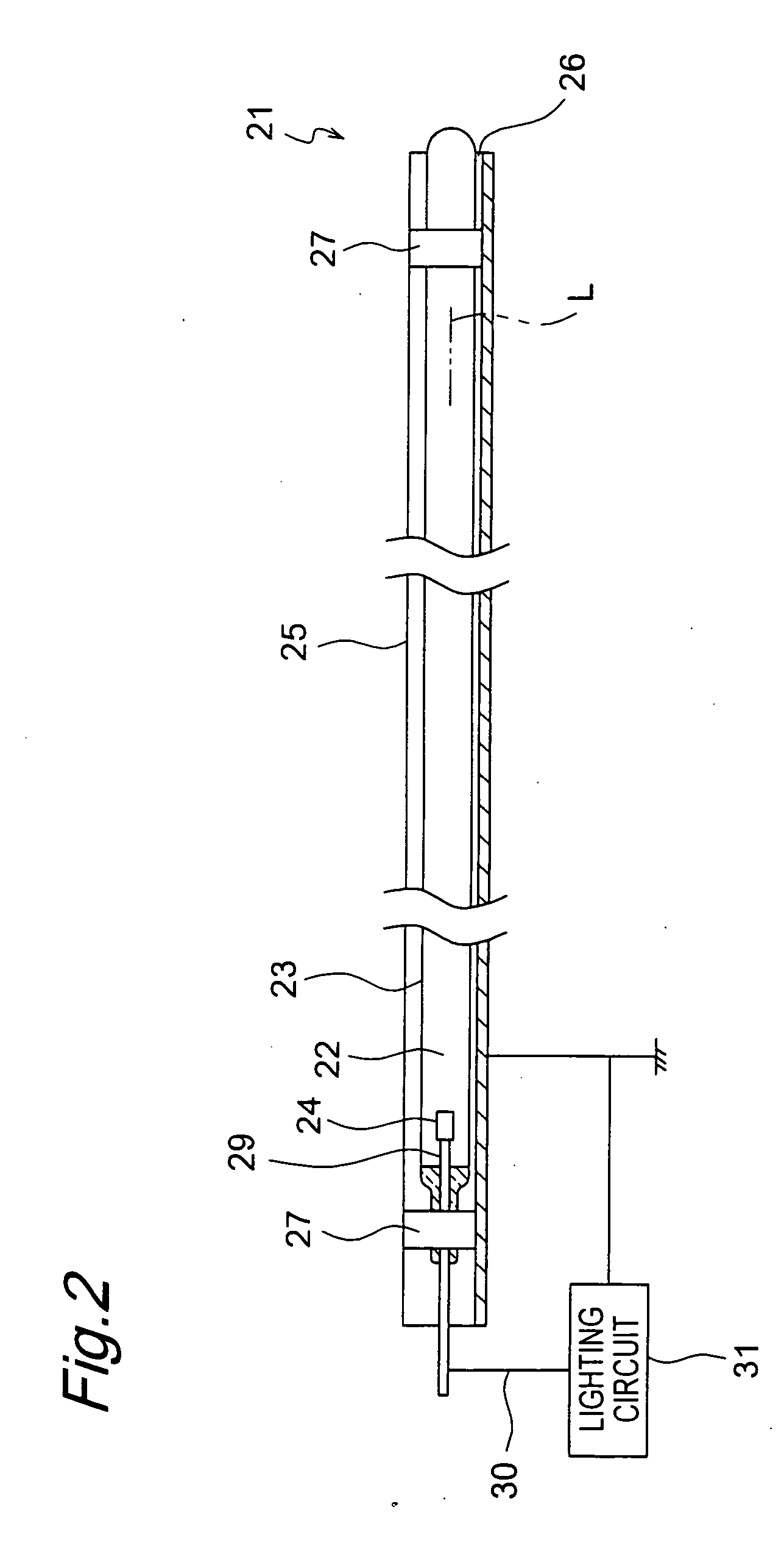 Light source device, lighting device and liquid crystal display device