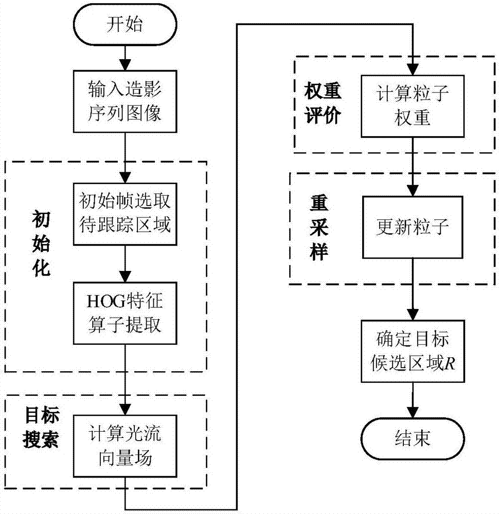 Real-time tracking and quantitative analysis method based on liver ultrasound contrast image