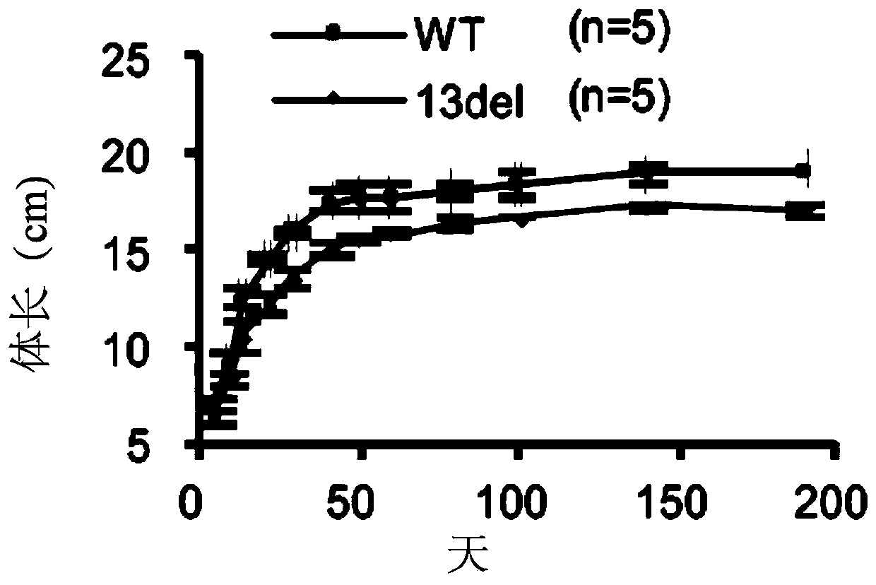 Preventive and therapeutic approach for aberrant cell differentiation and isr-associated diseases