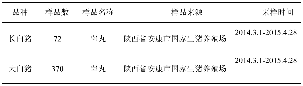 A kind of detection method and application of pig oct4 gene insertion/deletion