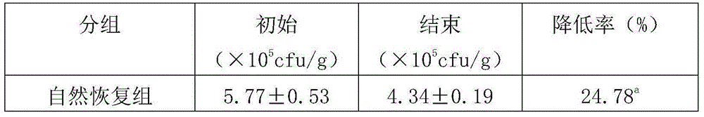 Fruit and vegetable tablet containing lactic acid bacteria and preparation method of fruit and vegetable tablet