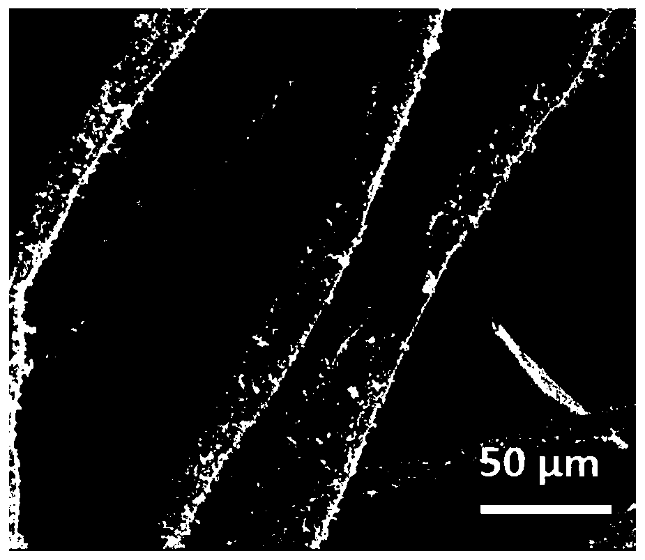 Metal organic framework derived Co/C nanoparticle coated carbonized cotton fiber wave-absorbing material and preparation method thereof