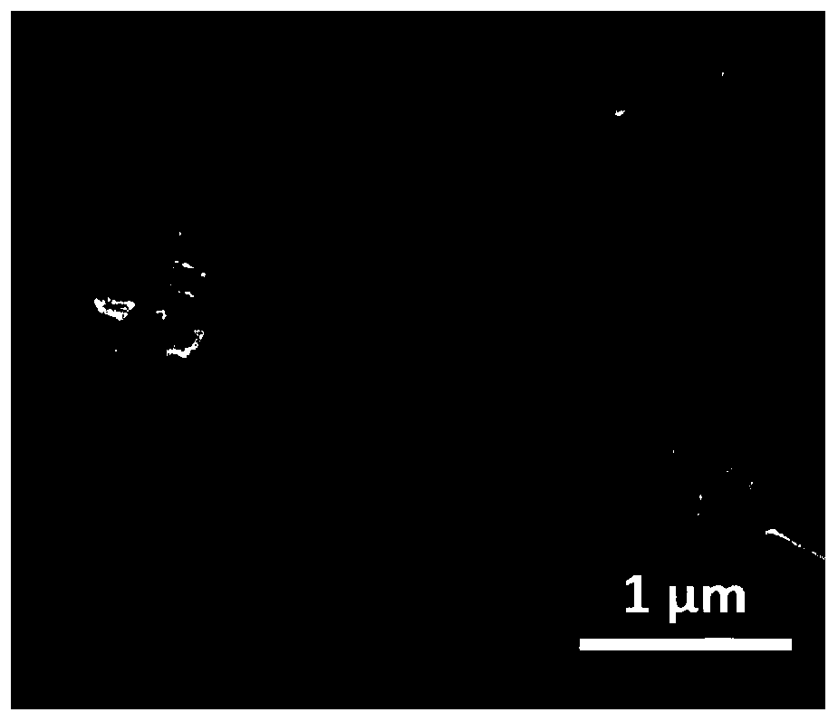 Metal organic framework derived Co/C nanoparticle coated carbonized cotton fiber wave-absorbing material and preparation method thereof