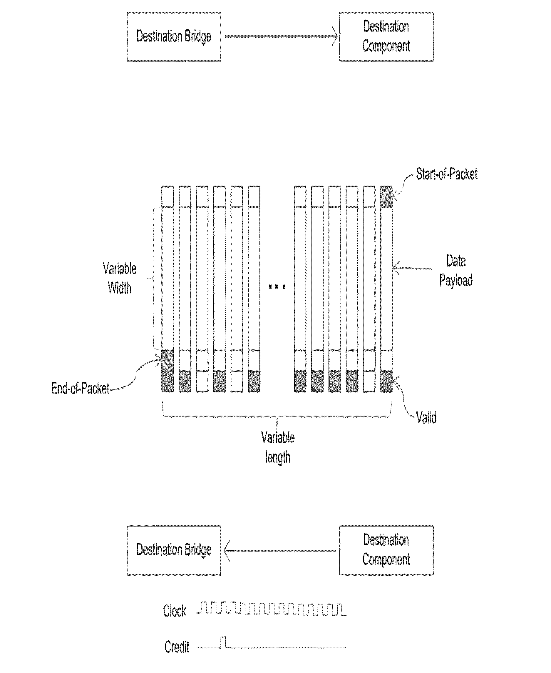 Noc interface protocol adaptive to varied host interface protocols