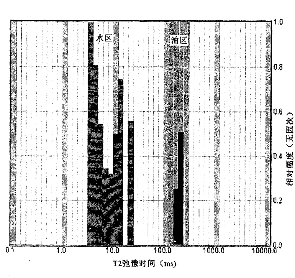 Petroleum drilling fluid nuclear magnetic resonance while-drilling analytic