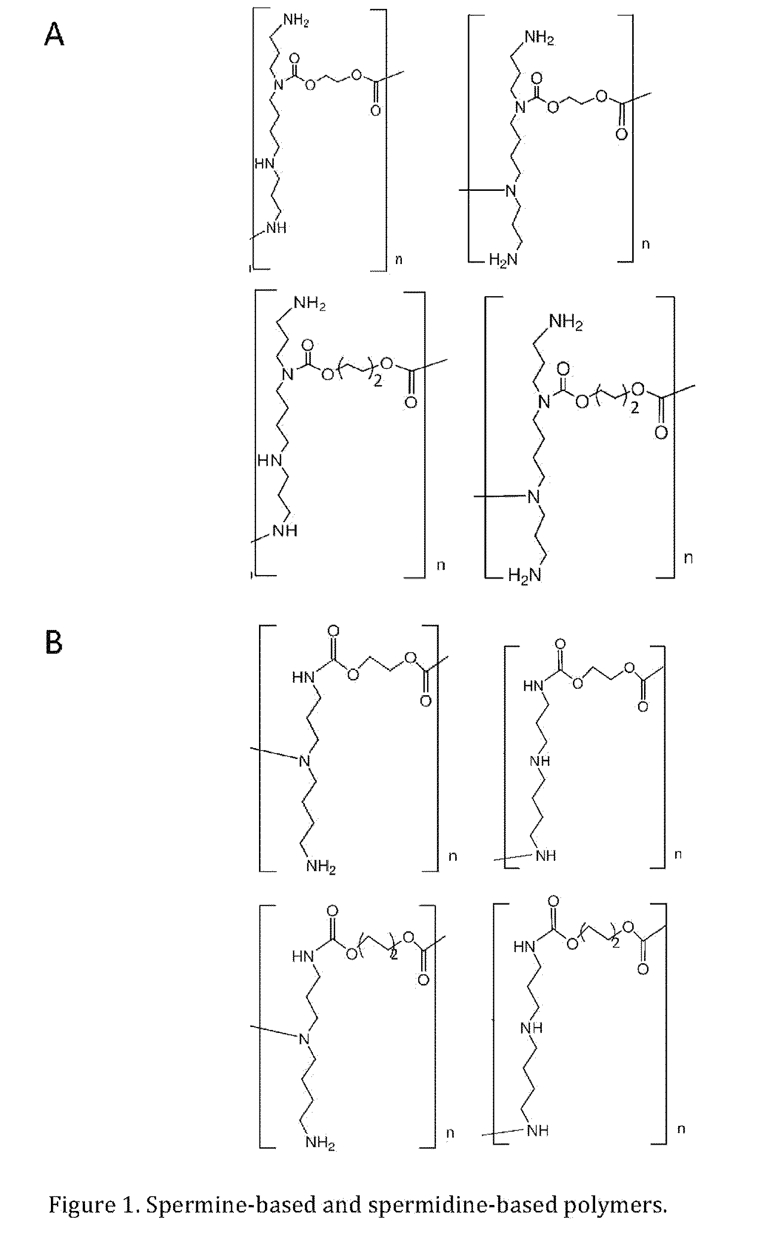 Polycationic gene carriers formed of endogenous amino group-bearing monomers