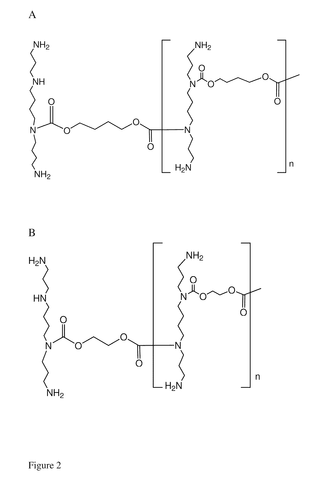 Polycationic gene carriers formed of endogenous amino group-bearing monomers