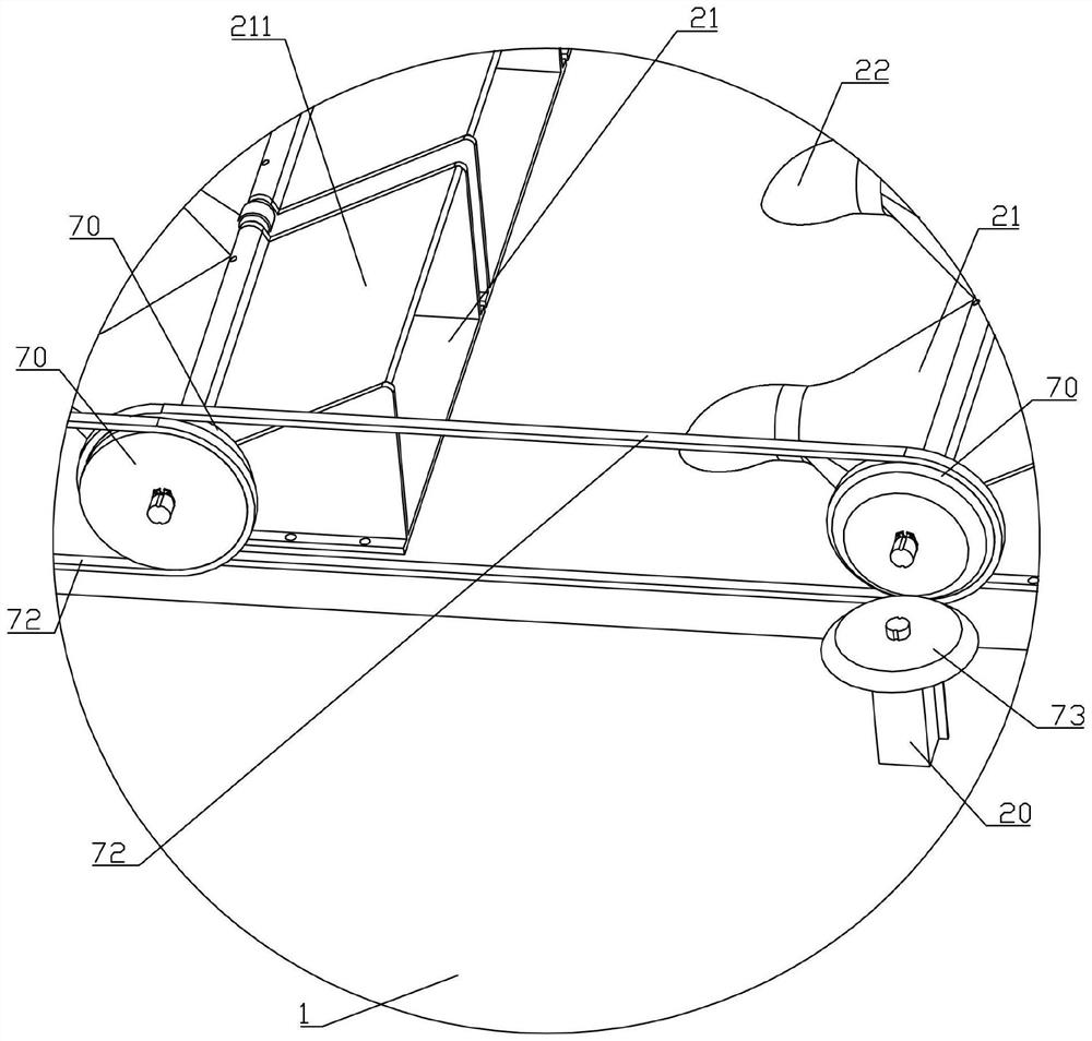 Fresh-keeping transport device for adult freshwater fish