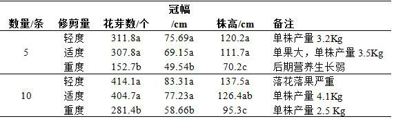 A pruning method to promote the differentiation of blueberry flower buds under the condition of open field substrate cultivation