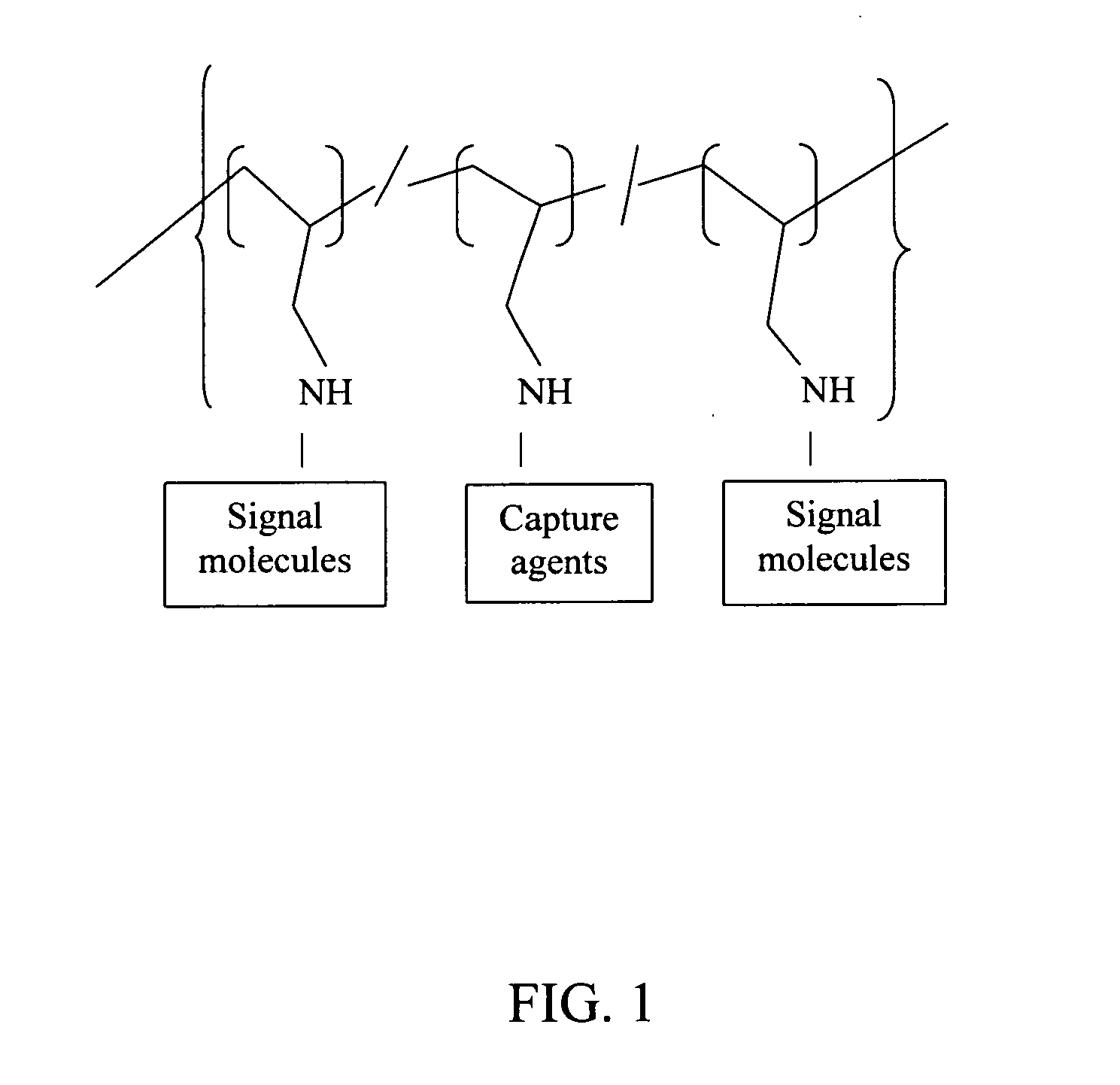 Polyallylamine conjugates and applications thereof for biological signal amplification