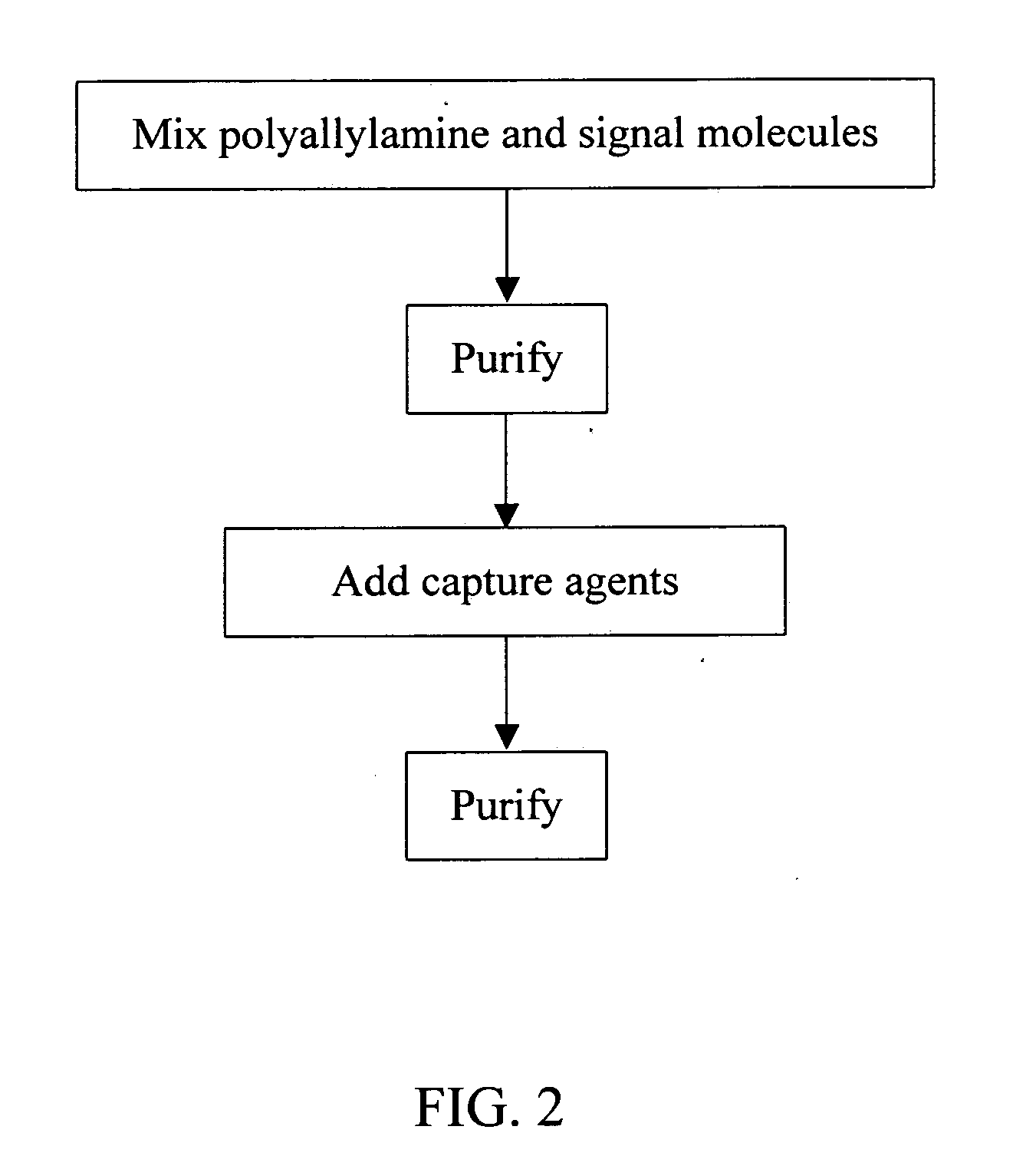 Polyallylamine conjugates and applications thereof for biological signal amplification