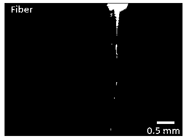 An optical fiber-based laser-driven macroscopic liquid flow device and method