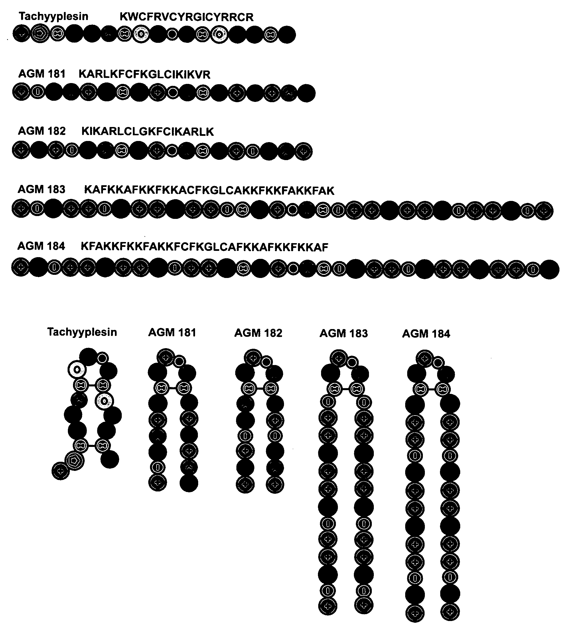 Antimicrobial lytic peptides