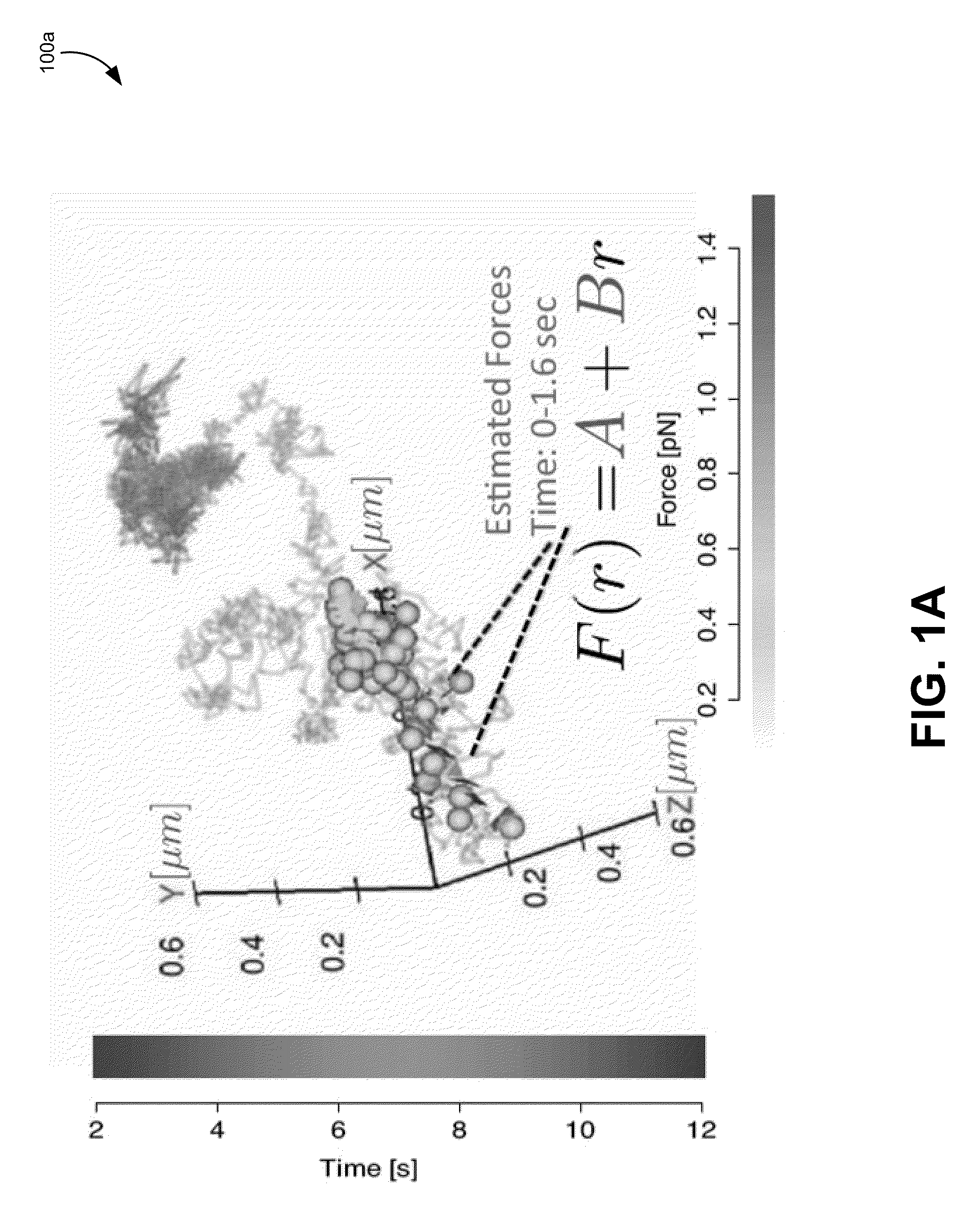 Particle tracking in biological systems