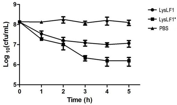 Lyase capable of killing streptococcus equi subspecies. Equi and medical application of lyase