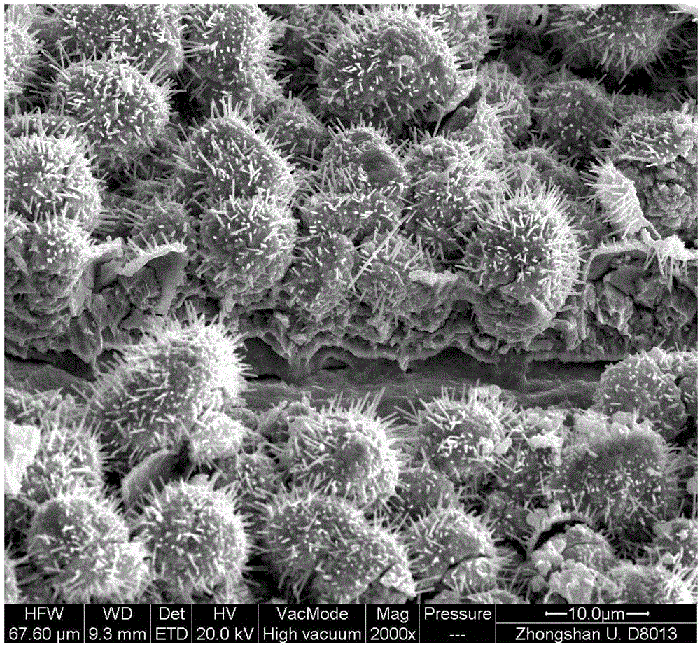 Micro/nanometer secondary surface array and preparation method and application thereof