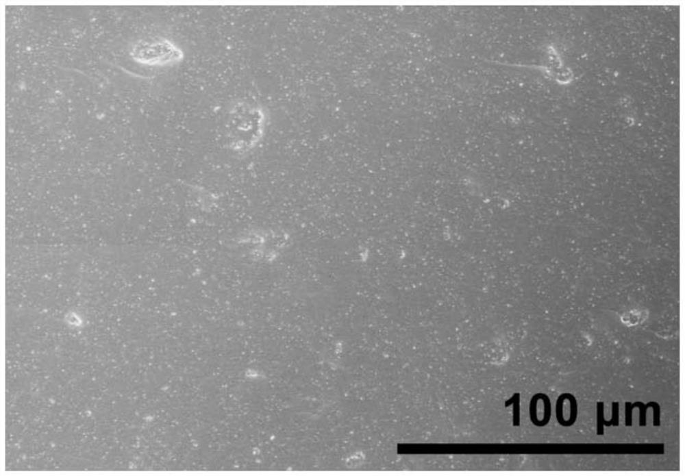 A polymer composite material for space neutron shielding and its preparation method