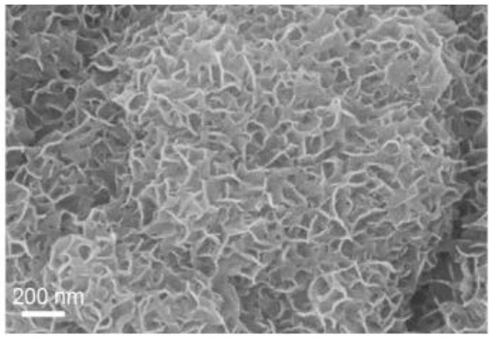 Sulfur anion doped manganese dioxide material, preparation and application thereof, and zinc ion battery containing sulfur anion doped manganese dioxide material