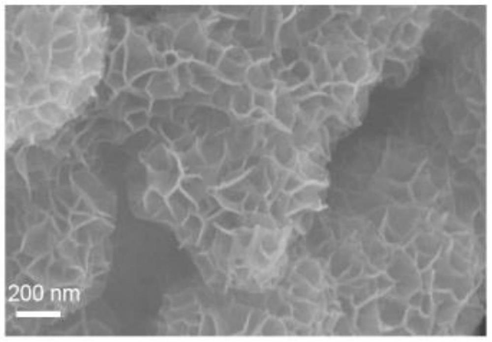 Sulfur anion doped manganese dioxide material, preparation and application thereof, and zinc ion battery containing sulfur anion doped manganese dioxide material