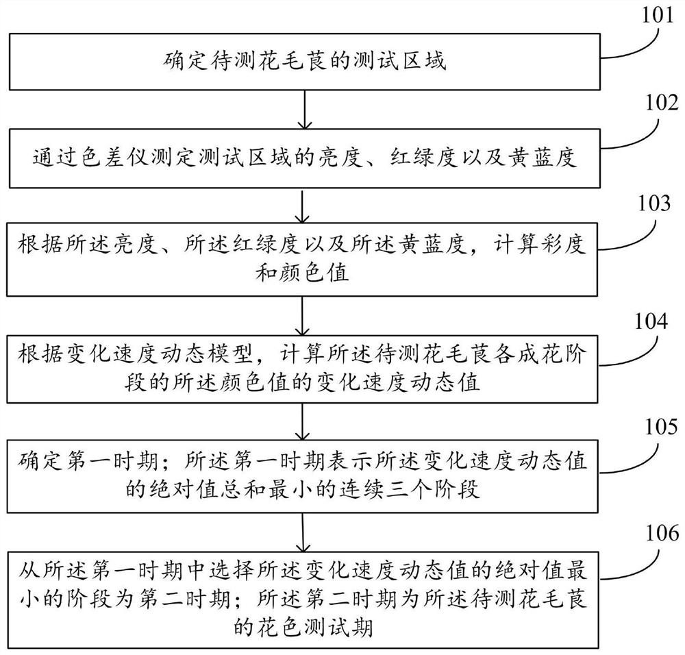 A method and system for determining the flower color test period of ranunculus