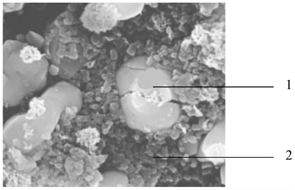 Lithium ion battery anode material and preparation method thereof, lithium ion battery anode piece and lithium ion battery