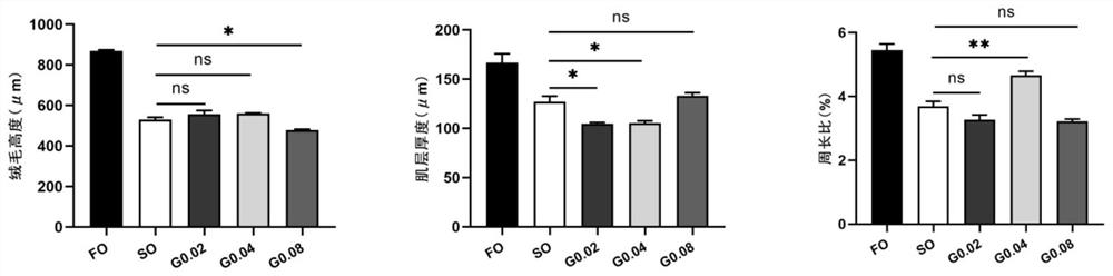 Feed additive and feed for improving intestinal structure of pseudosciaena crocea and application of feed additive and feed