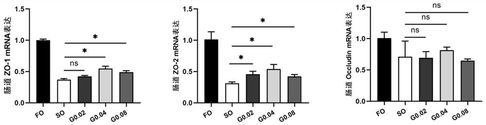 Feed additive and feed for improving intestinal structure of pseudosciaena crocea and application of feed additive and feed