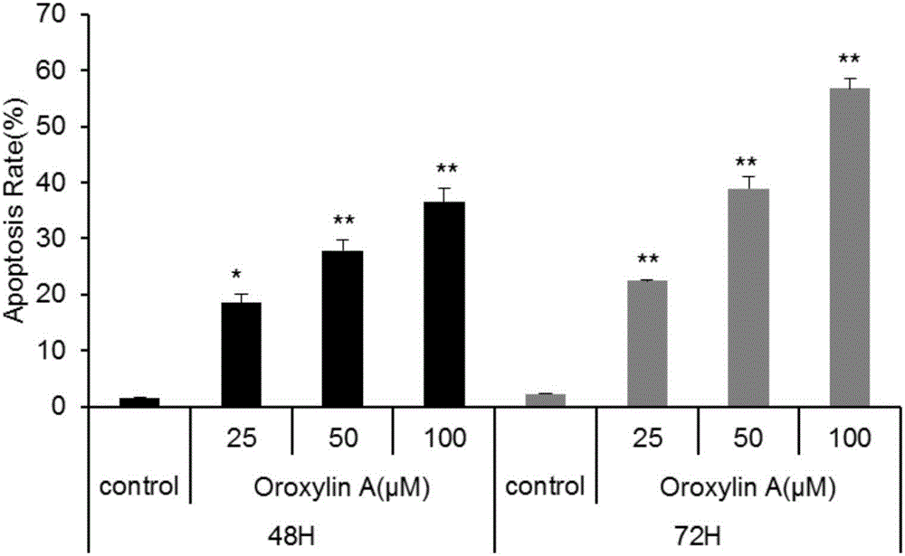 Application of oroxylin A in preparation of inhibitor with targeting effect on AFP (alpha fetoprotein) of hepatoma cells