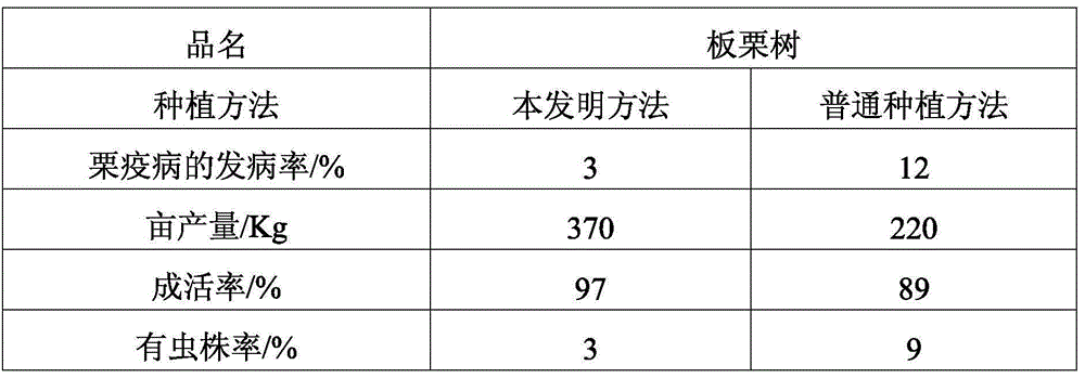 Method for high-yield planting of castanea mollissima