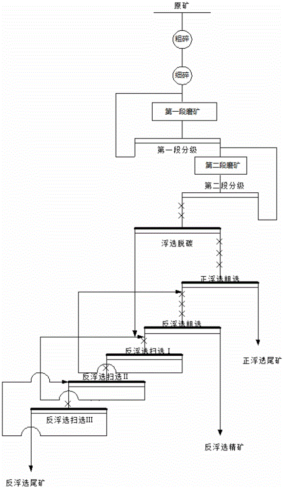 Process for mineral processing of low-grade silicon calcium collophanite