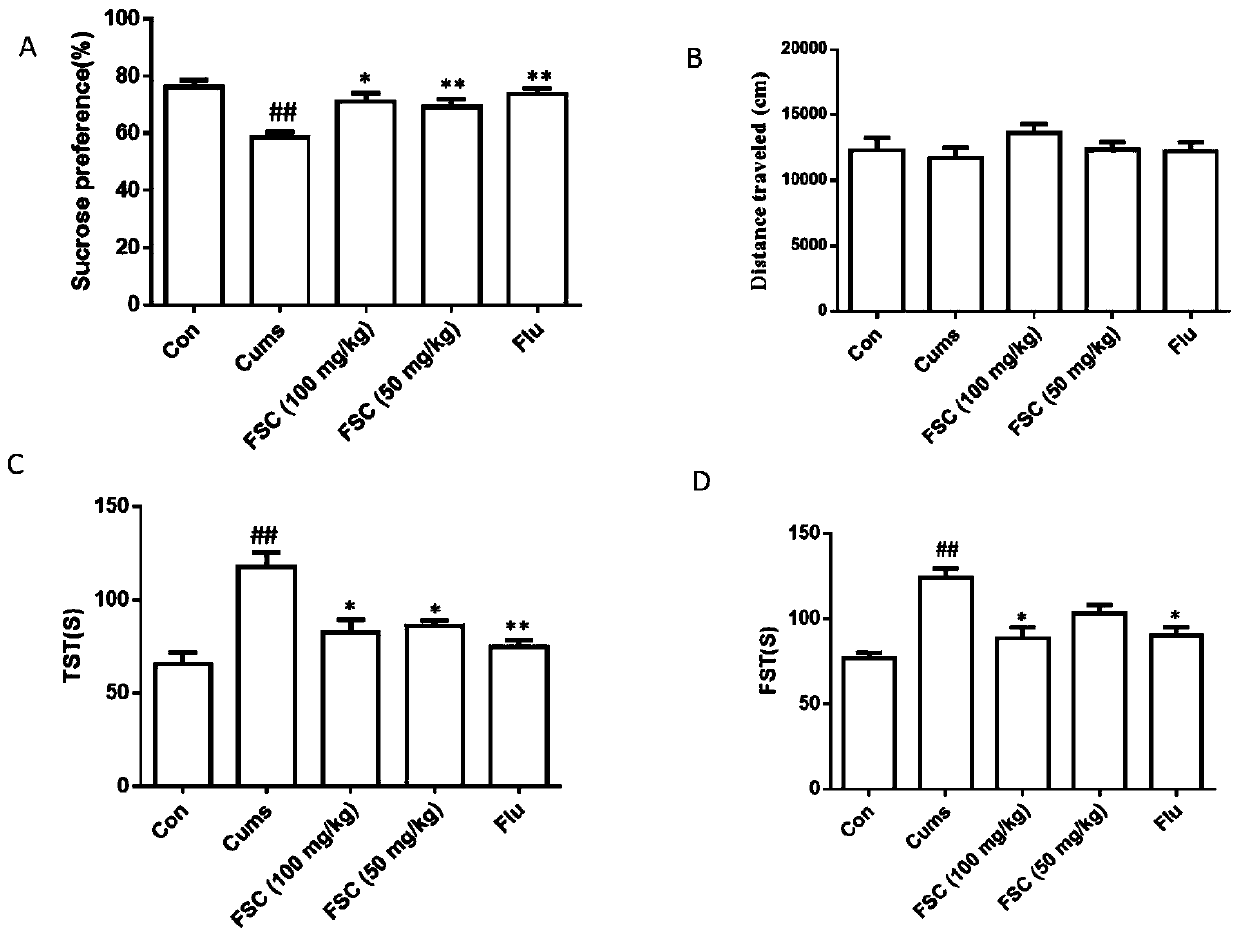 Total flavone extract with anti-depression effect and preparation method and application thereof